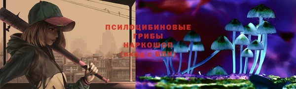 бошки Армянск