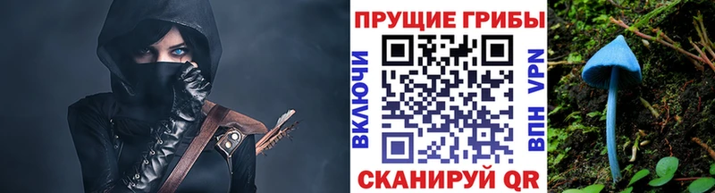 kraken Ленинск Псилоцибиновые грибы Magic Shrooms купить наркотики цена