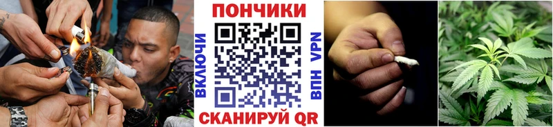 Канабис OG Kush  Ленинск 